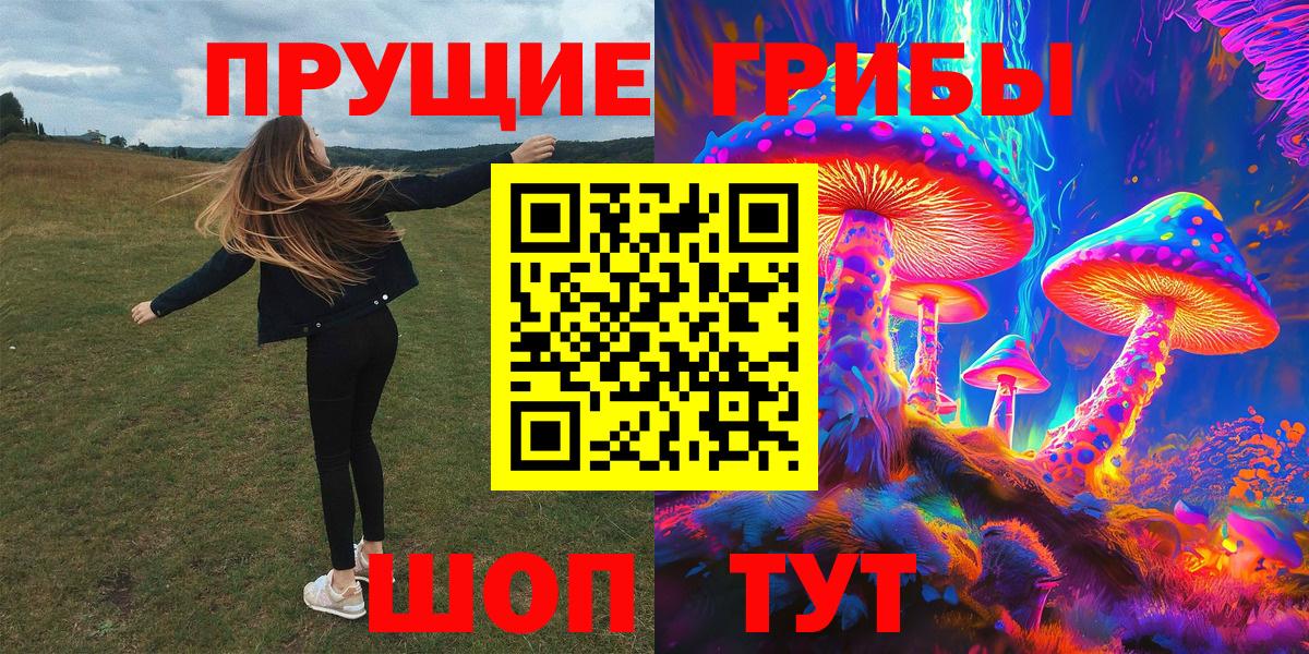 Псилоцибиновые грибы Psilocybe Дзержинский