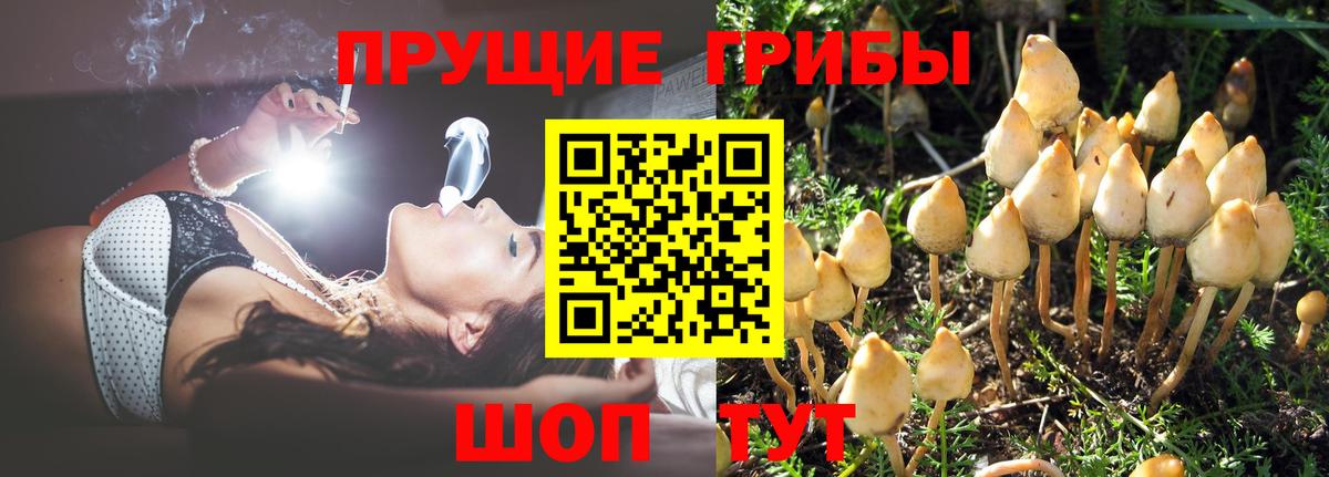 Дзержинский  Галлюциногенные грибы ЛСД  Вход с VPN 